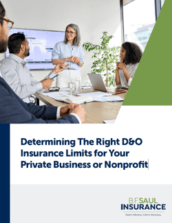 Determining The Right D&O Insurance Limits