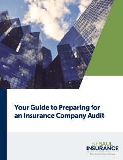 Insurance Audit Guide Cover-1