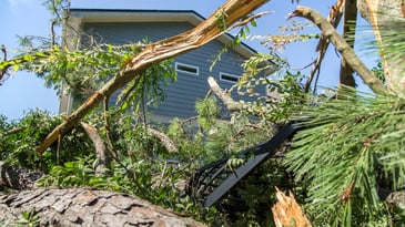 tornado causes tree damage to house